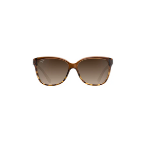 TRANSLUCENT CHOCOLATE W/ TORTOISE | HCL BRONZE