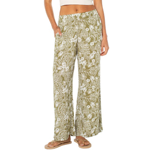 OLIVE BRANCH ON THE PROWL